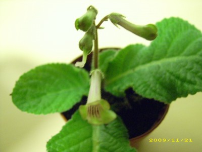 DSCI0837.JPG