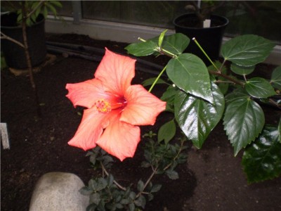 592d7895952c.jpg