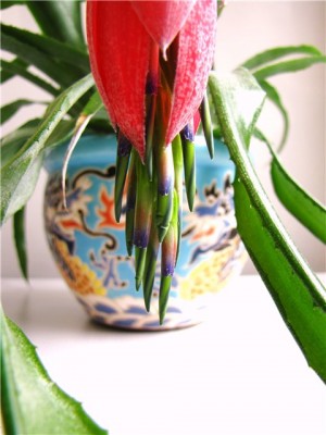 f42789dd025c.jpg