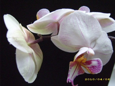 DSCI0888.JPG