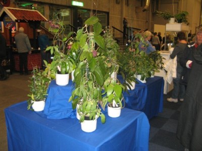 IMG_9873.jpg