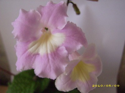 DSCI0927.JPG