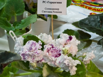 dsc_6858_148.jpg