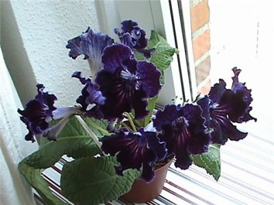 89f489c8f354.jpg