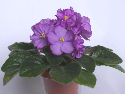 SG103780.JPG