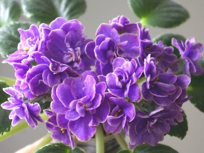 SG103851.JPG