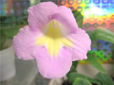 04238eca67b9.jpg