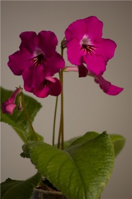 5edcde88f13b.jpg