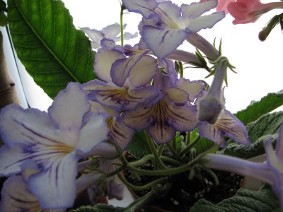 IMG_5999_small.jpg