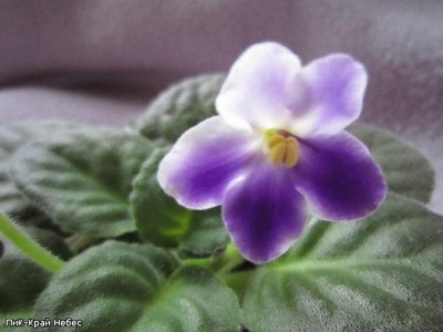 9f0a342d693d.jpg