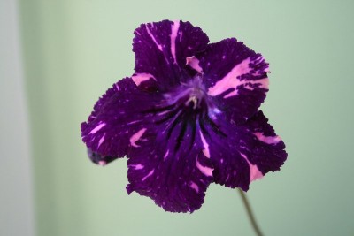 023_800x533.jpg