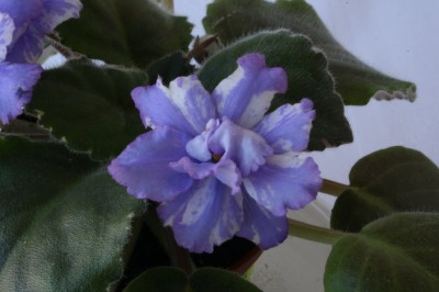 006_1024x682.jpg