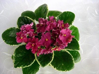 IMG_5708.JPG