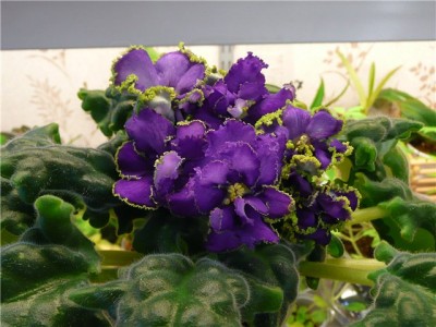 beb067537cc1.jpg