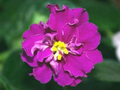 SG103471.JPG