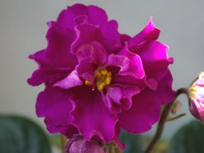 SG103512.JPG