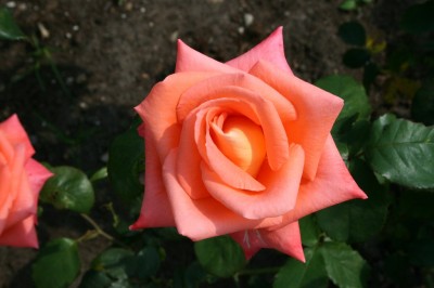 022_1024x682.jpg