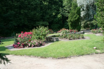 042_640x426.jpg
