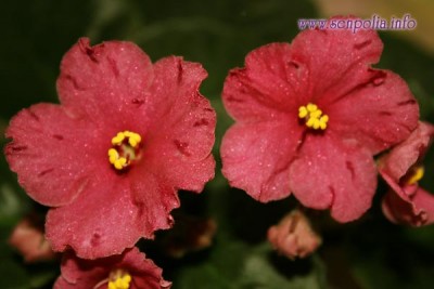d7730746c619.jpg