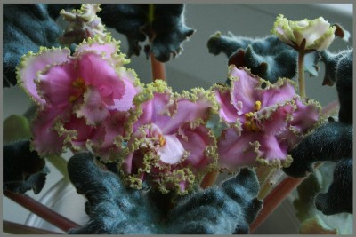 024_800x533.jpg
