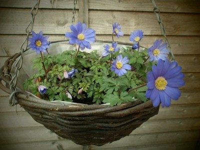02.03.2012.jpg