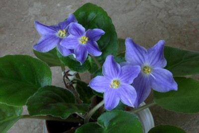 023_800x533.jpg