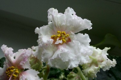 013_800x533.jpg