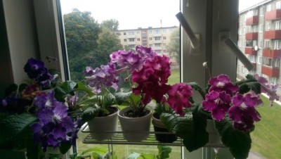 04.10.2015.jpg