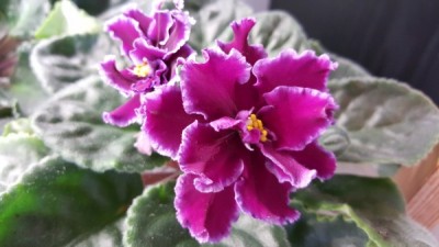 20160206_110105.jpg