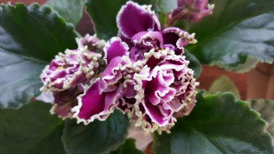 20160212_133946.jpg