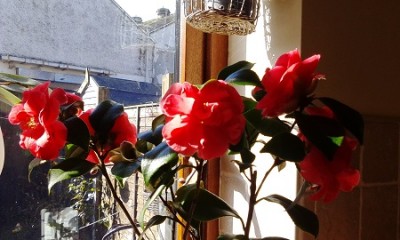 IMG_20160302_135403.jpg