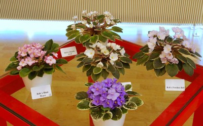 DSC_0624small.jpg