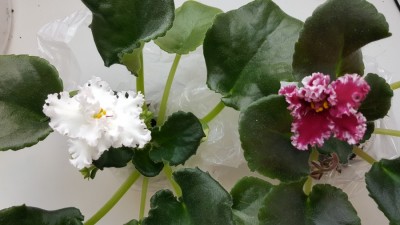 20160322_101349.jpg