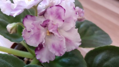 20160705_115742.jpg
