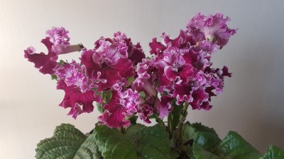 20160830_125227.jpg