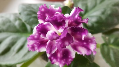 20160903_153718.jpg