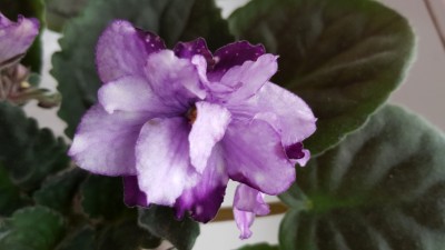 20160903_153812.jpg
