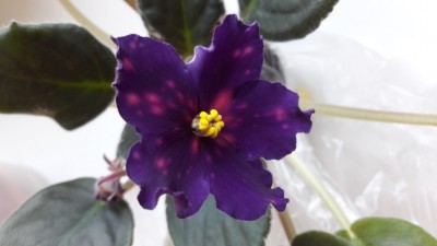 20170111_104818.jpg