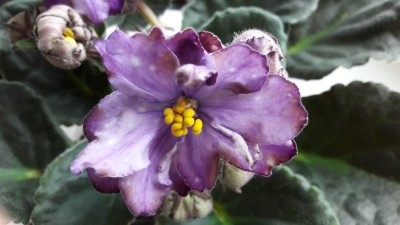20170212_121716.jpg