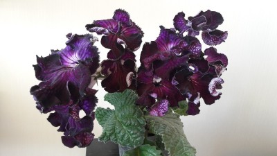 20170513_091218.jpg