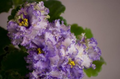 DSC_6855.jpg