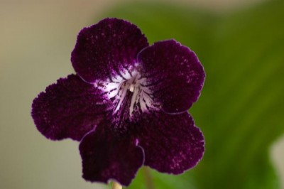 DSC_6889.jpg