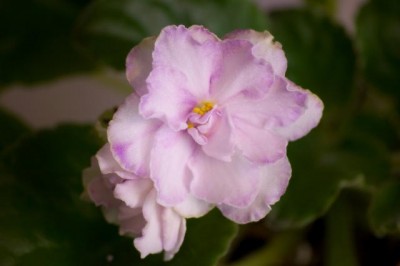 DSC_6839.jpg