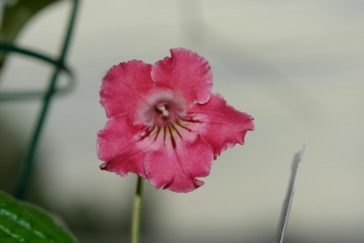 a222505bd4e6.jpg