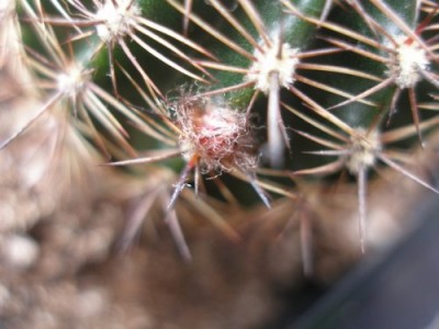 8d5600833399abd57e.jpg