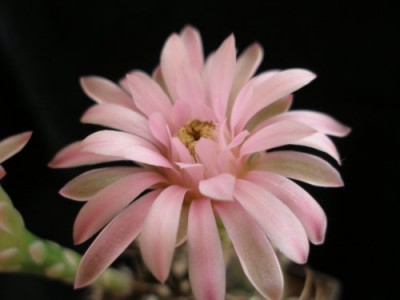 2c4f76883465.jpg