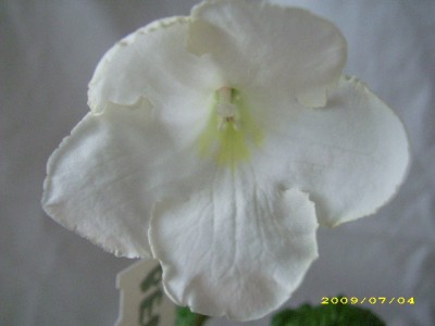 DSCI0307.JPG