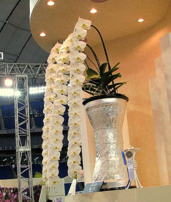 2291097670_d974dd09e1_o-2.jpg