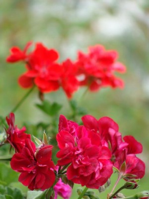 DSC03037.JPG