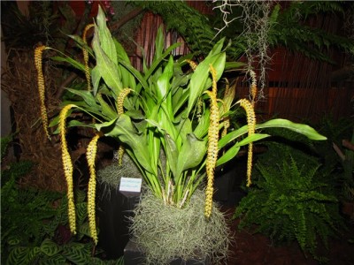 50f02f50e380.jpg
